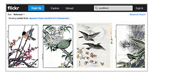 Flickr search page
